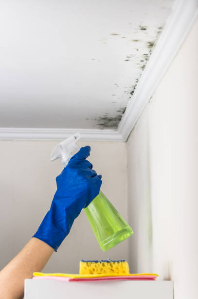 Libby, MT Mold Remediation Company
